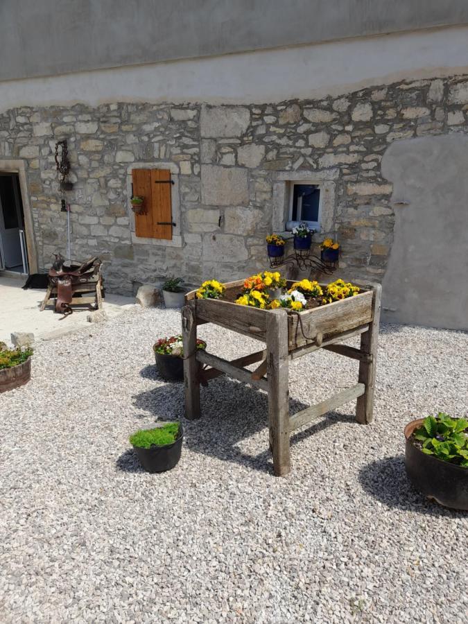 Ferienwohnung Kuca Za Odmor Lana Kršan Exterior foto